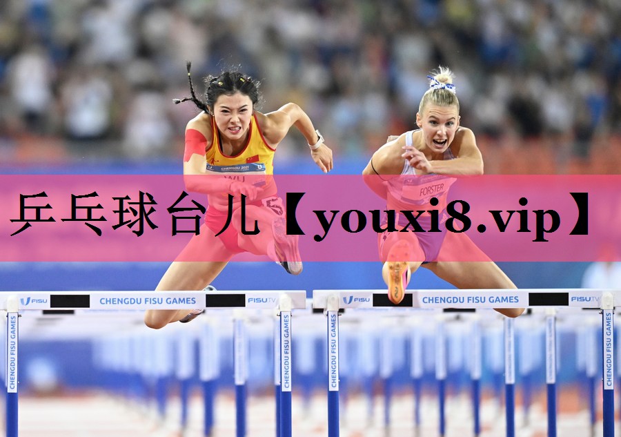 乒乓球台儿