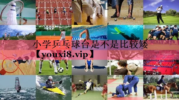 小学乒乓球台是不是比较矮